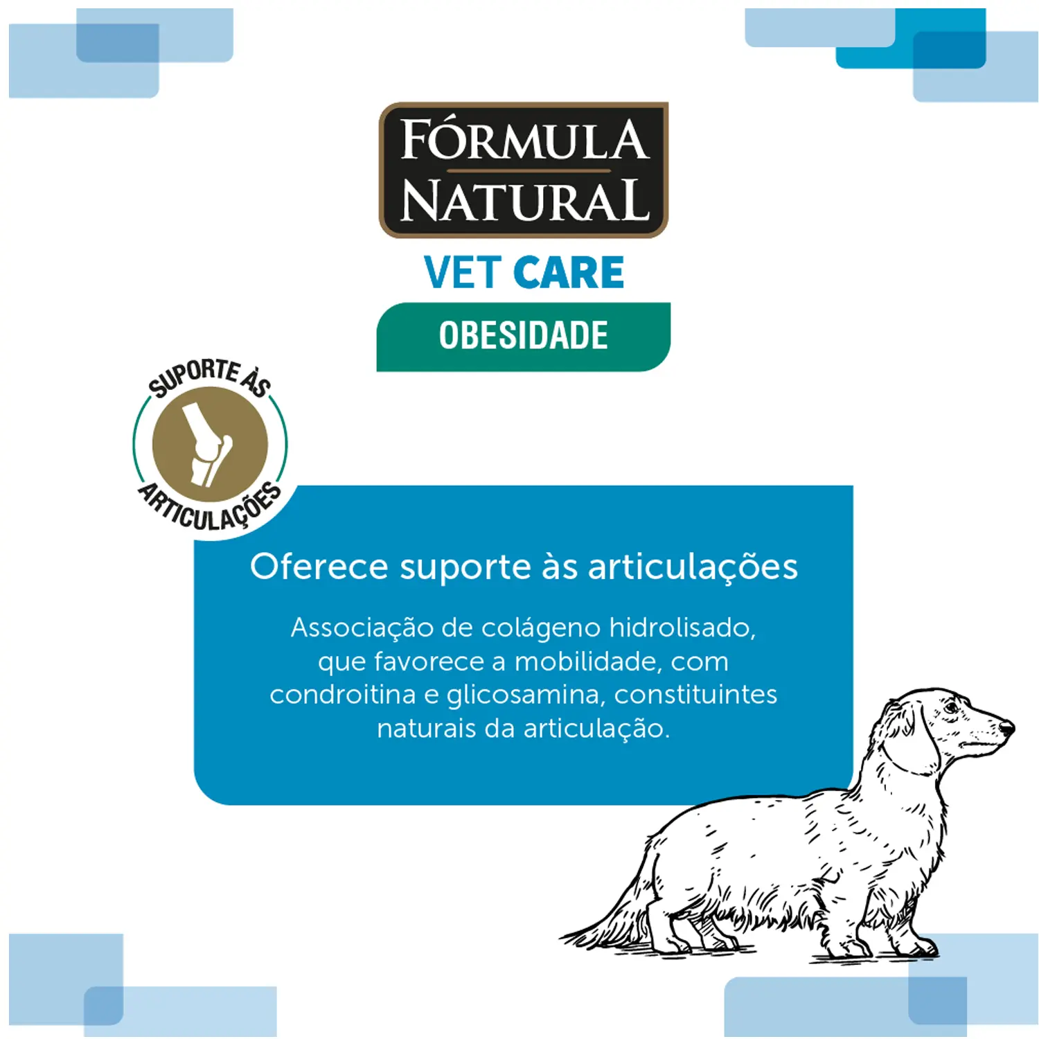Ração Úmida Fórmula Natural Vet Care Obesidade para Cães Ração Úmida Fórmula Natural Vet Care Obesidade para Cães